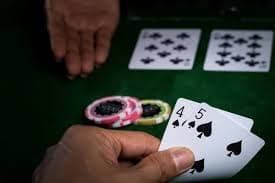 daywin888 Meja Live Casino dengan Dealer Langsung